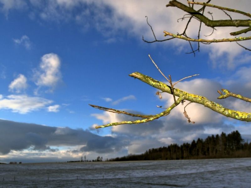 winter.1400x787.130.1k