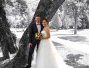 wam 4281 colorkey